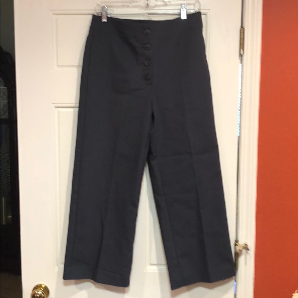 Brand New Loft Pants!